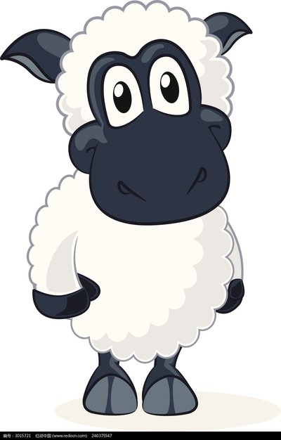 杂交羊